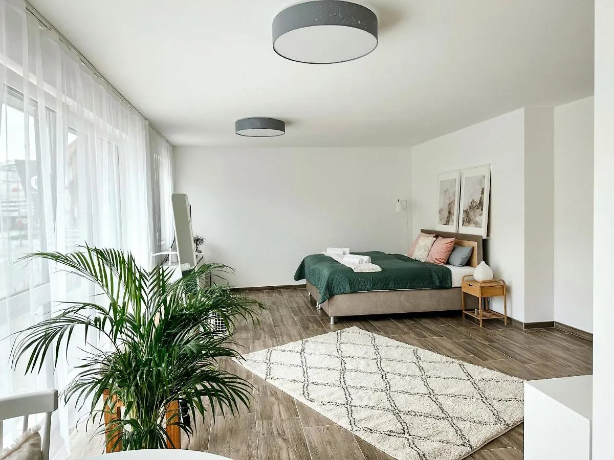 Sali Homes Elegant And Stylish Retreat In Heart Of Bayreuth, Close To River Germany