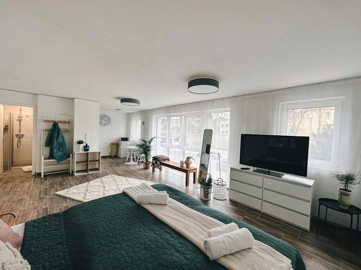 Sali Homes Elegant And Stylish Retreat In Heart Of Bayreuth, Close To River Apartment